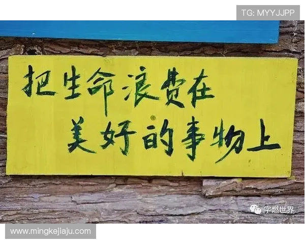 理想的儿子：不止是荣耀，更是生命的另一种绽放