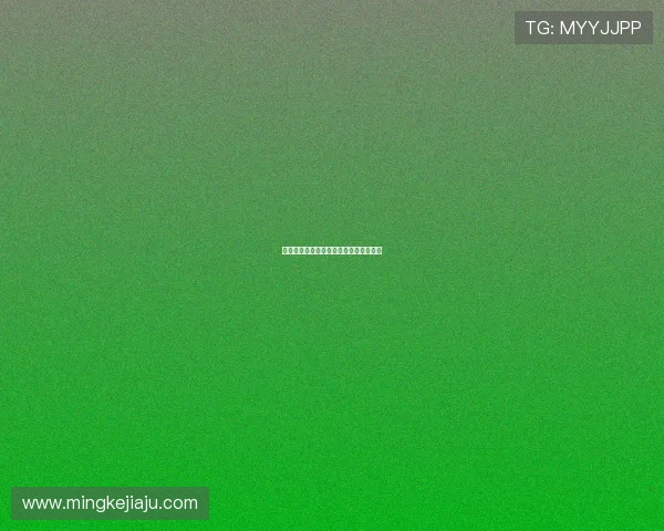 爱是唯一答案：在喧嚣中寻找和解的温柔